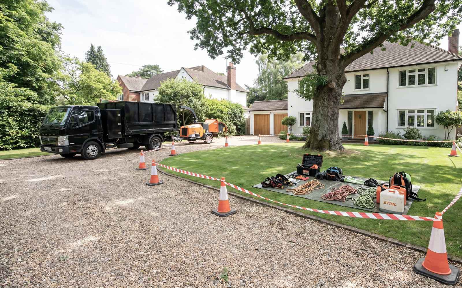Martins Tree Surgery Work
