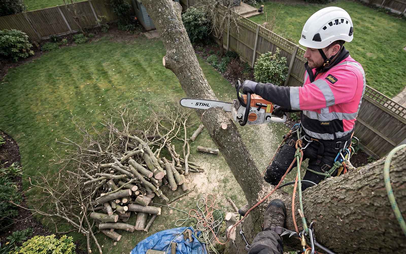 Martins Tree Surgery Work